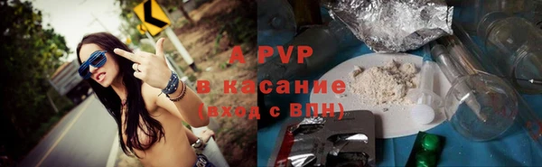 ПСИЛОЦИБИНОВЫЕ ГРИБЫ Баксан