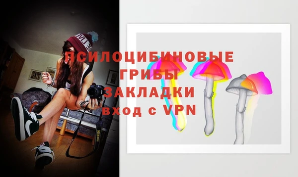 твердый Балахна