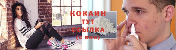 ПСИЛОЦИБИНОВЫЕ ГРИБЫ Баксан