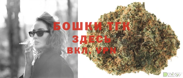 твердый Балахна