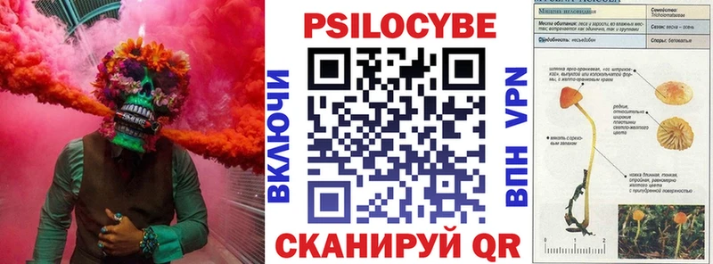 Купить закладки  Клин  Галлюциногенные грибы Psilocybine cubensis 